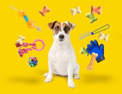 Pet Supplies